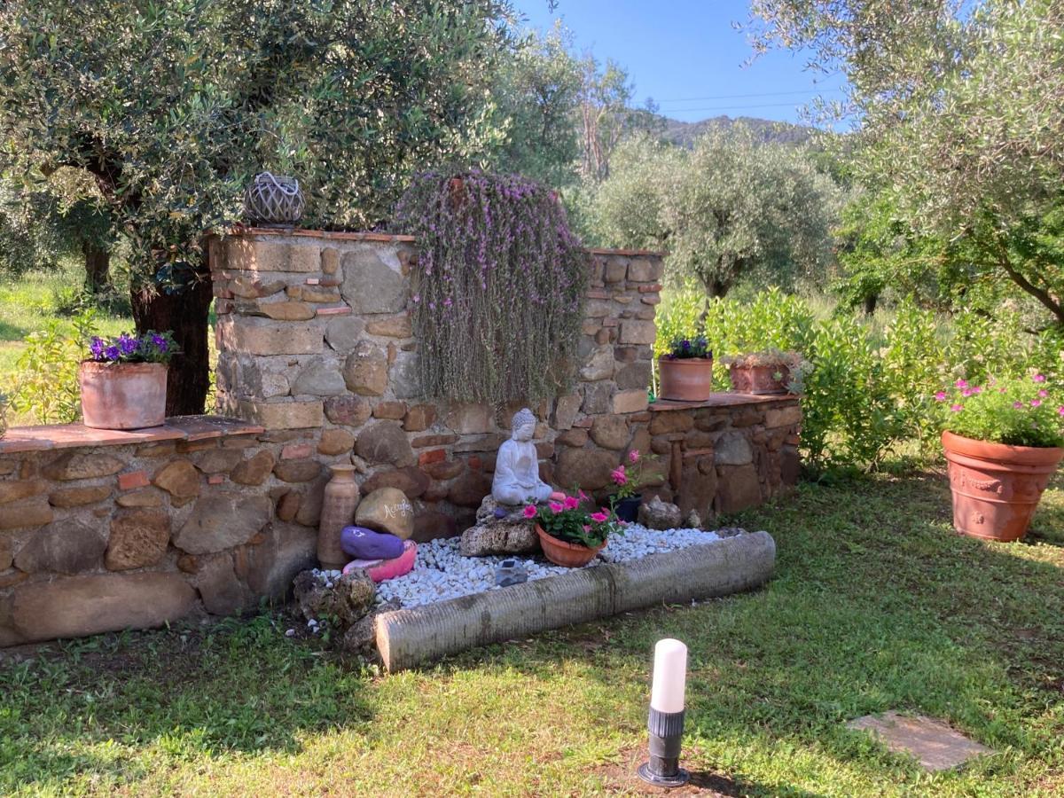 Agriturismo Buen Camino Scarlino Exterior foto