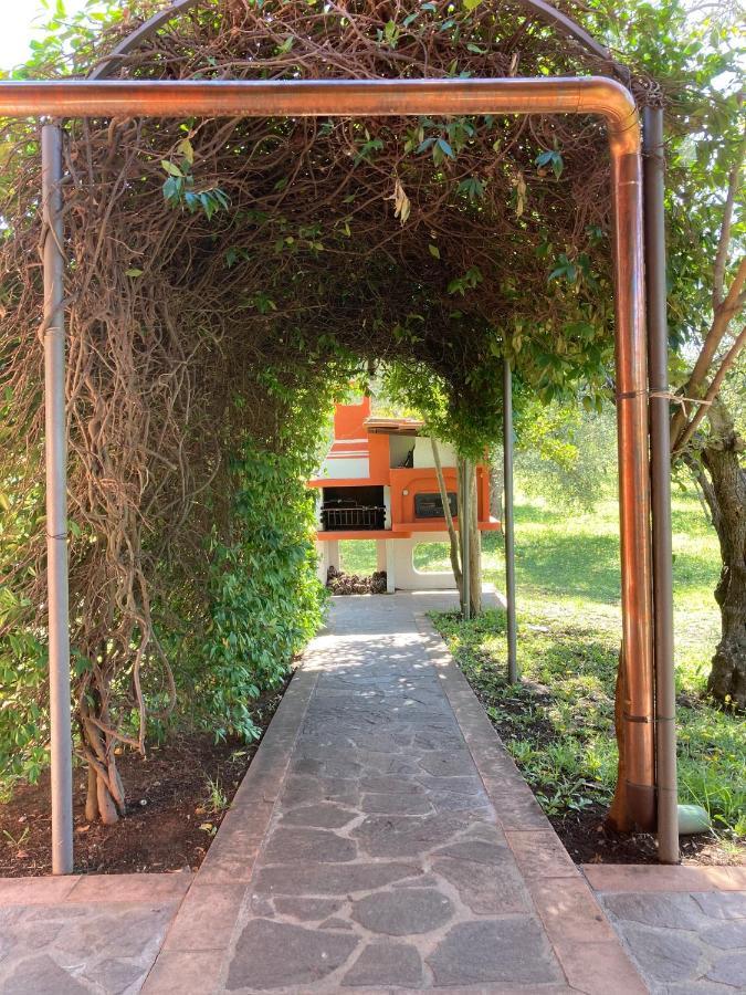 Agriturismo Buen Camino Scarlino Exterior foto