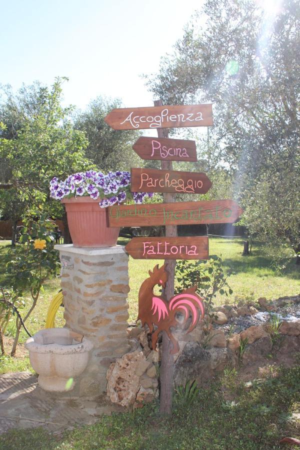 Agriturismo Buen Camino Scarlino Exterior foto